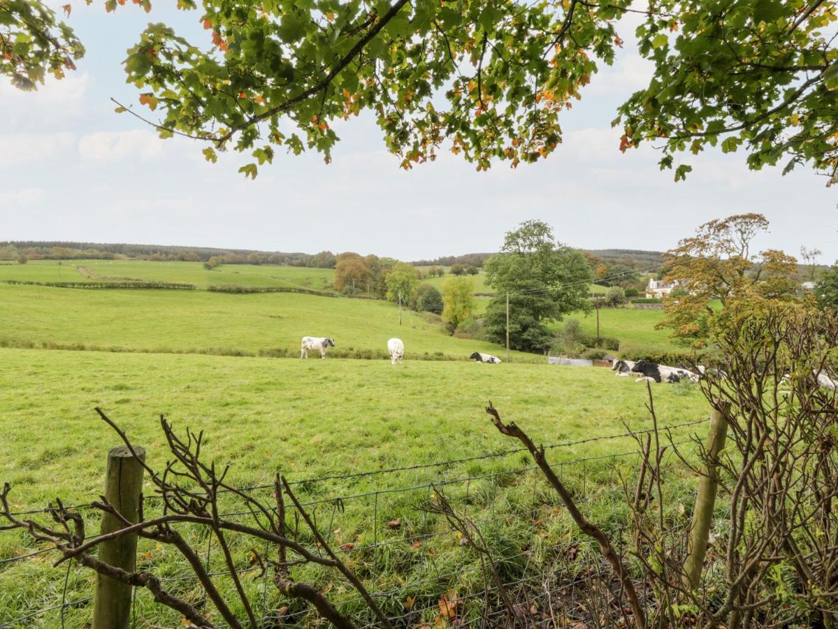 Whiteside Cottage Darvel エクステリア 写真
